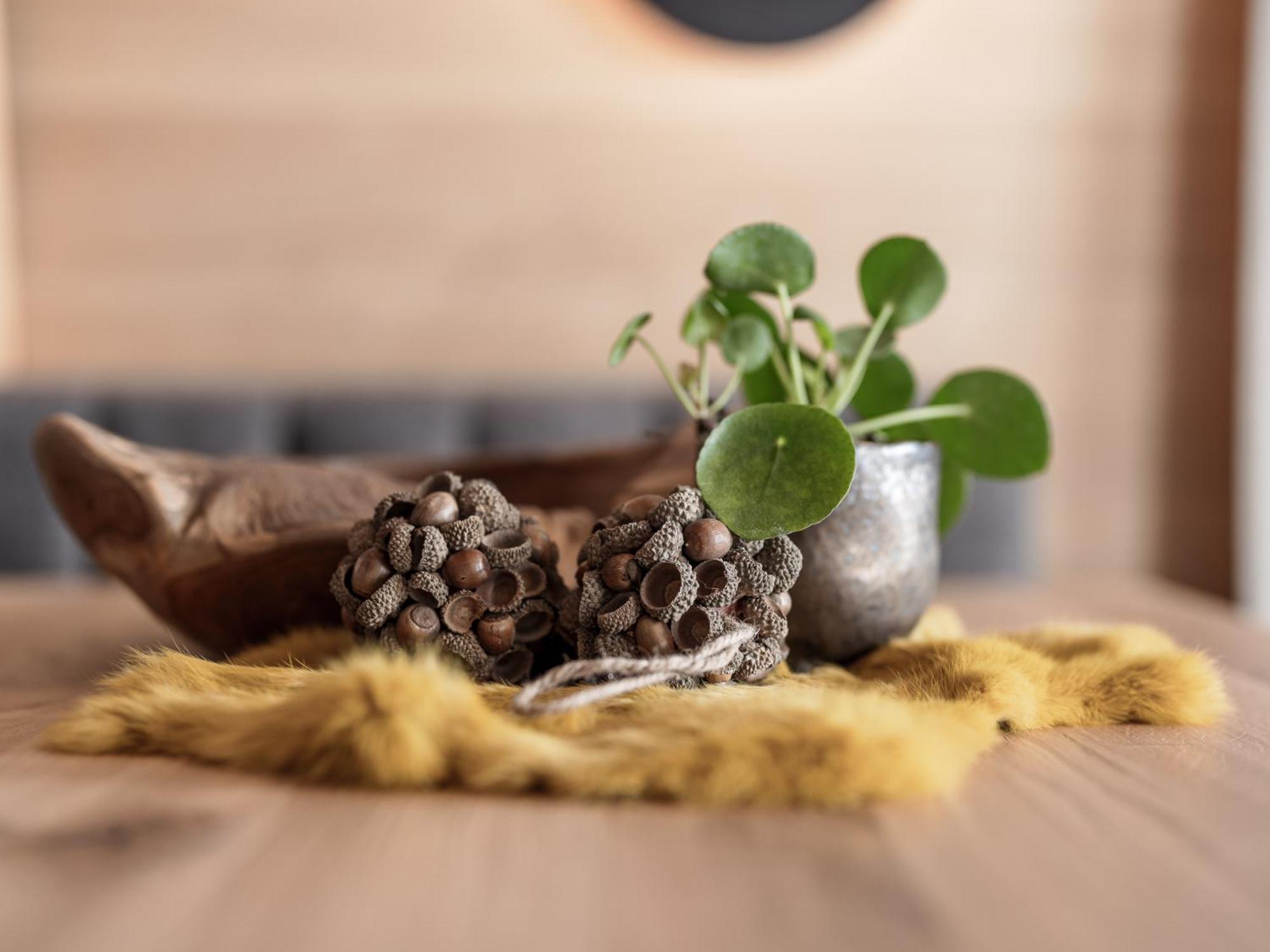 Apartment Neues Apartmenthaus Mit Fabelhaftem Wellness Myalps ötztal *